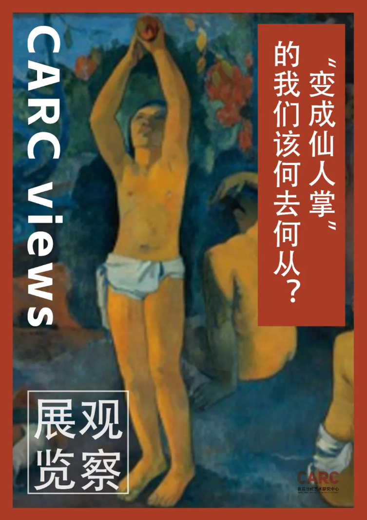 CARC展览观察｜唐江华：“变成仙人掌”的我们该何去何从？&陈卉个展《变成仙人掌》